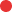 Ikon